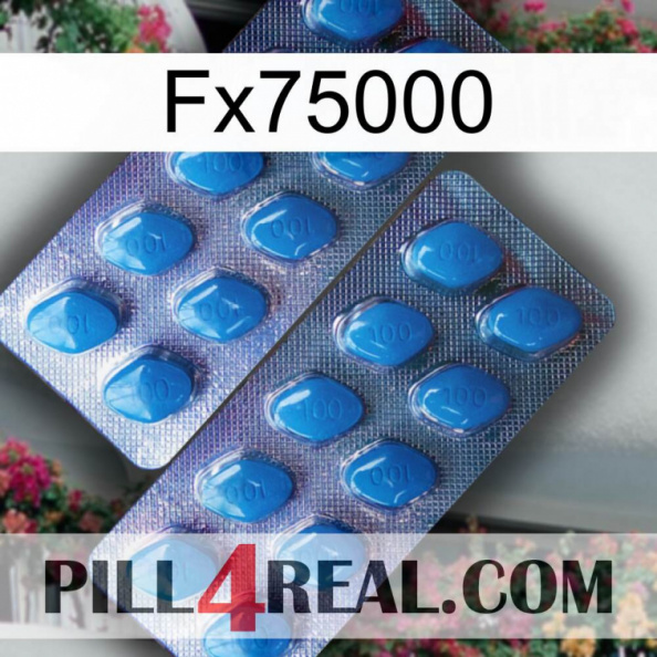 Fx75000 viagra2